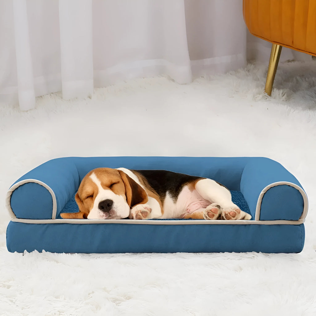 Square cloth-covered dog bed with sponge filling shown in beige, dimensions 100x60cm for scale.
