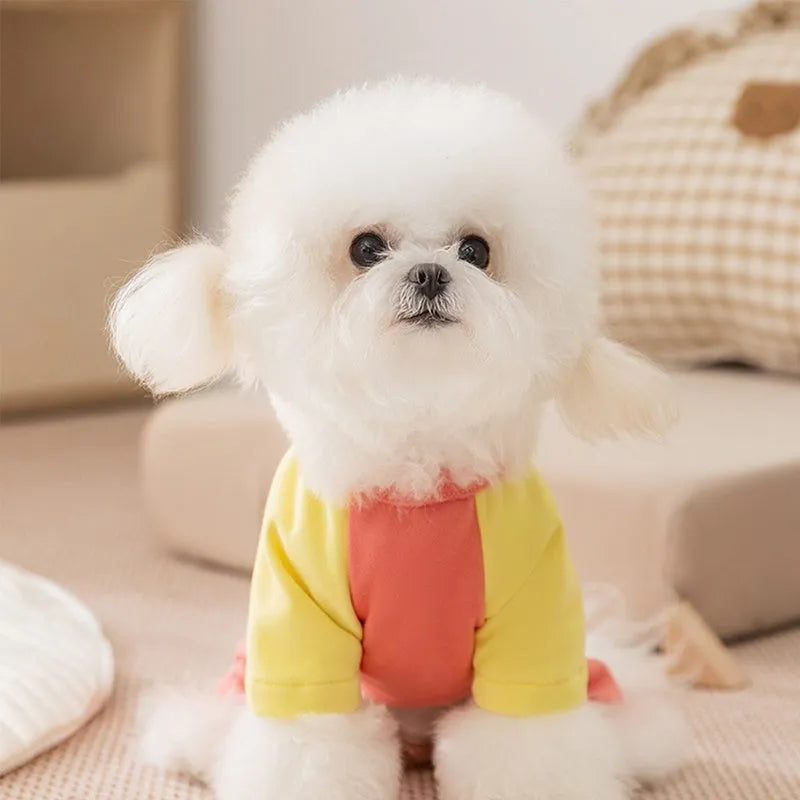 Small dog wearing a blue fleece jumpsuit with green sleeves and a cartoon patch on the chest