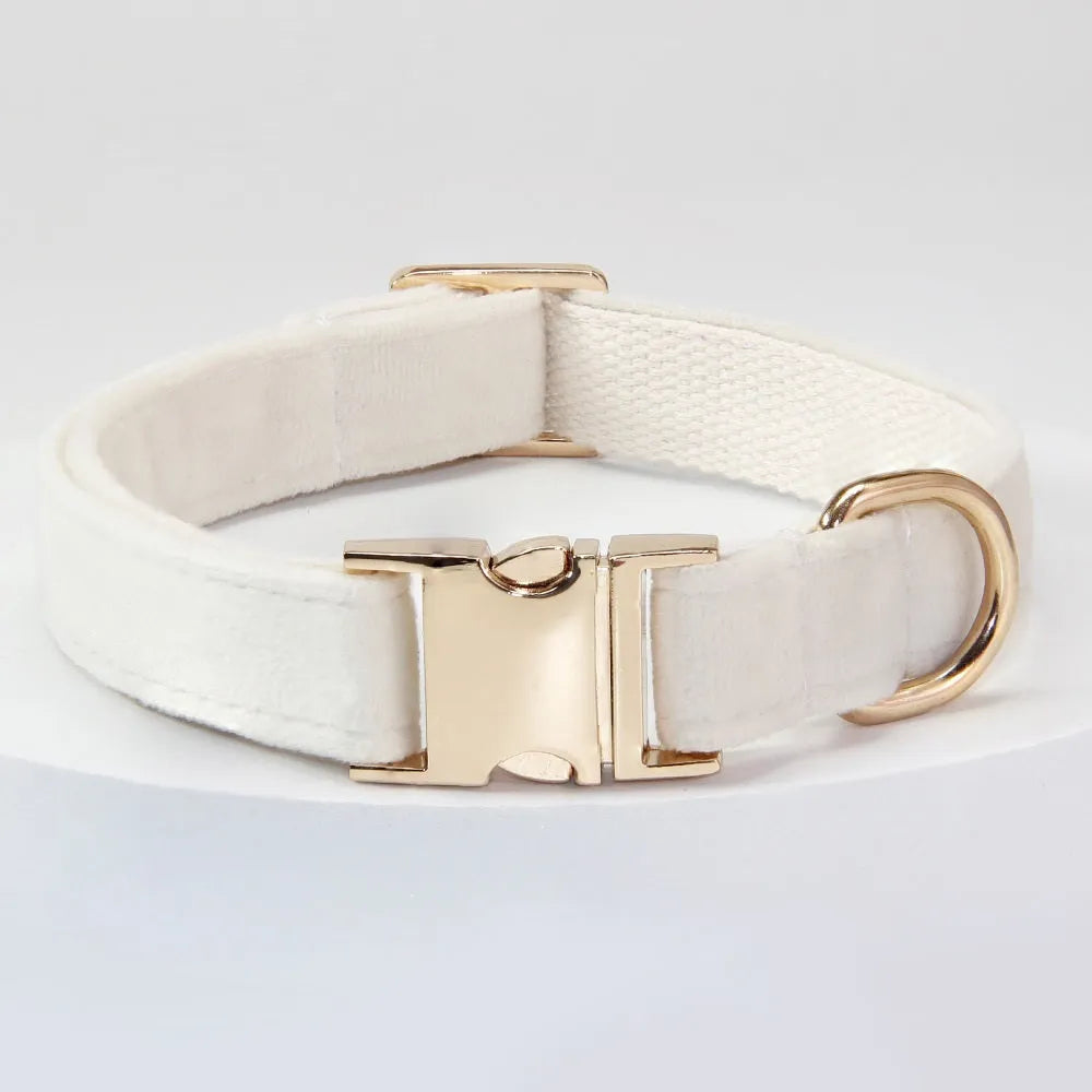 Polyester dog collar with engraved lettering in monochrome colour, available in sizes S M L