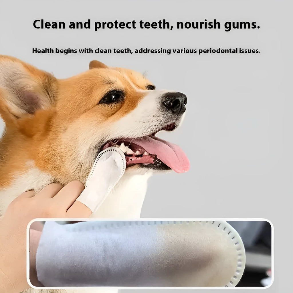 Open pack of 50 soft, white, non-woven fabric finger cots for cleaning pet teeth and applying toothpaste.
