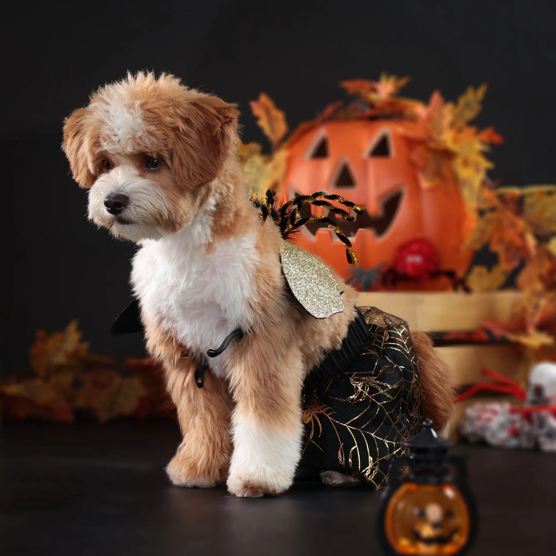 A solid-colour polyester dog suit costume for Halloween, shown in size L.