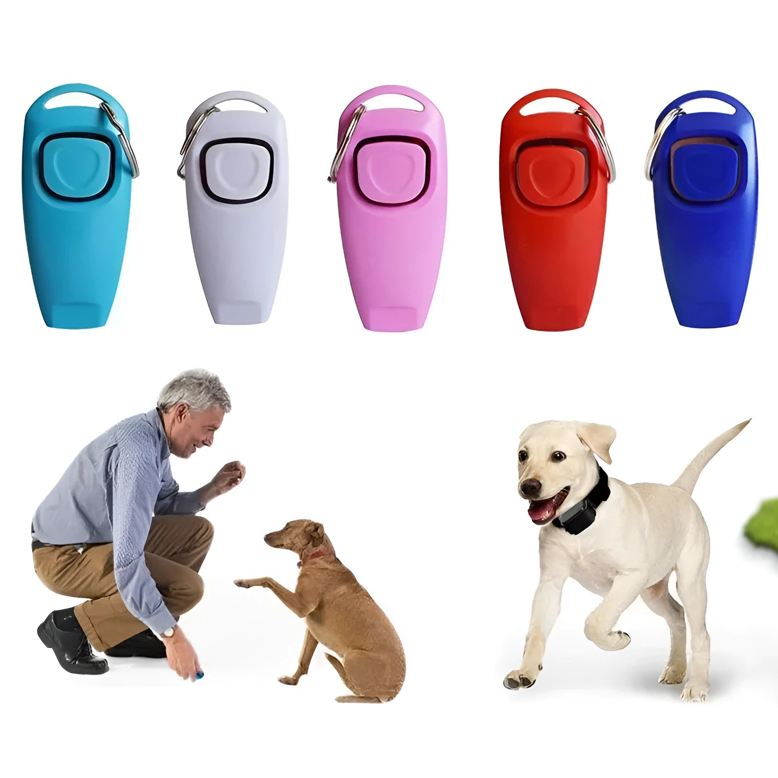 Colourful plastic dog training clicker with whistle and key ring on a white background.