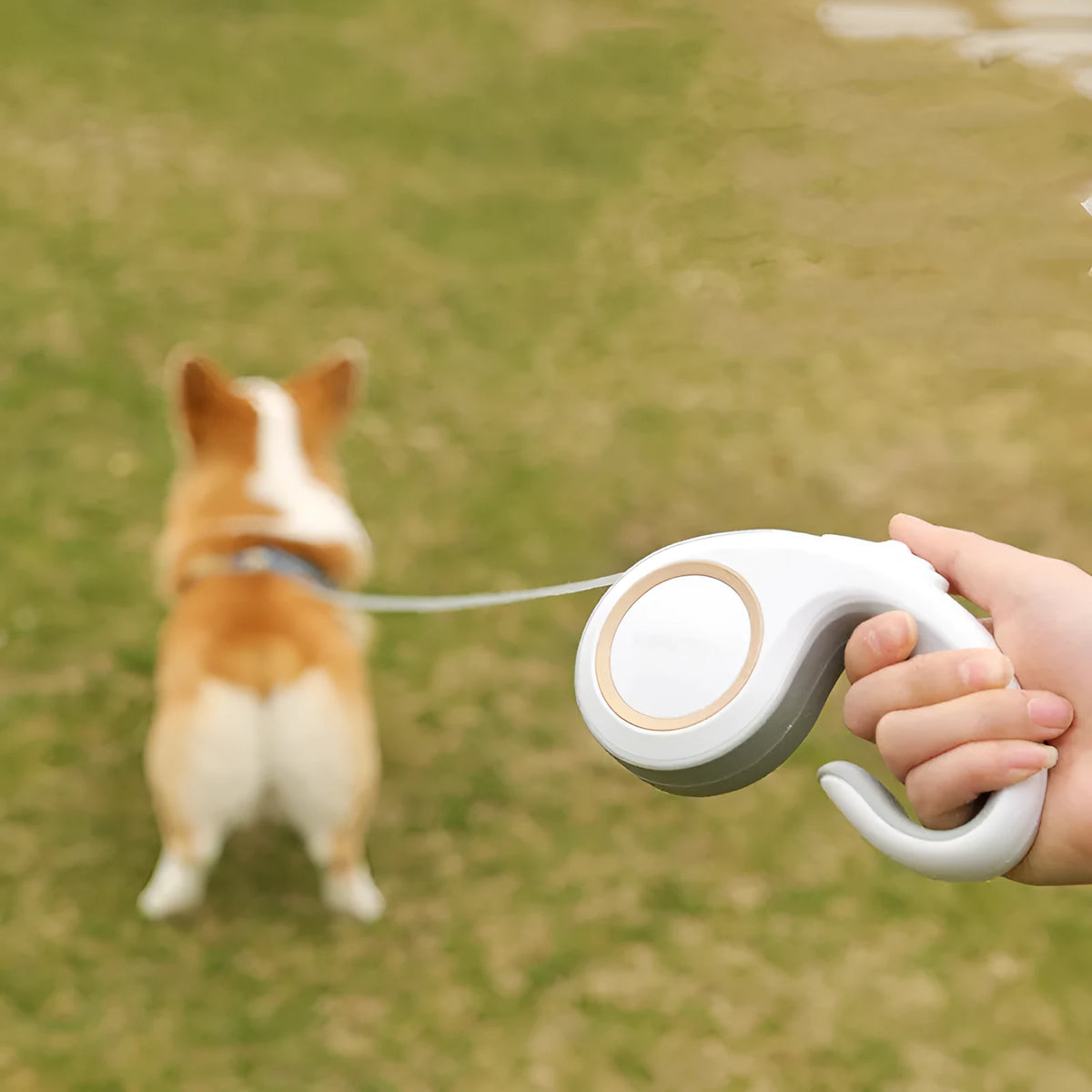 Automatic retractable dog lead with ABS body, non-slip rubber handle and polyester rope in Morandi Light Green.