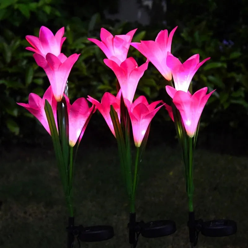 Colour LED solar-powered flower-shaped ground lamp for garden lighting.