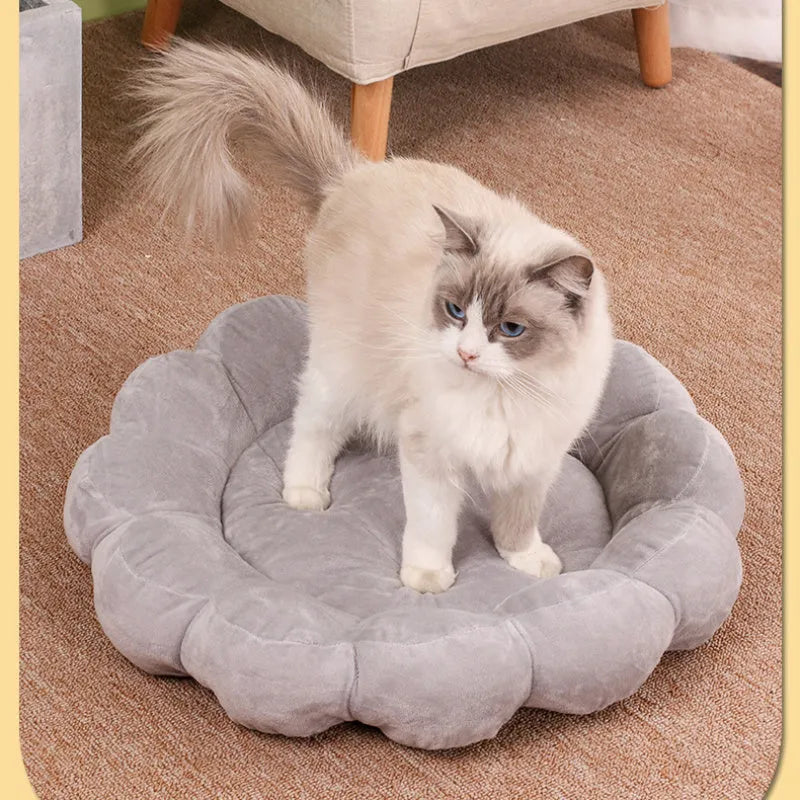50x50 cm half-surrounded pet bed in blue with plush fabric for dogs and cats