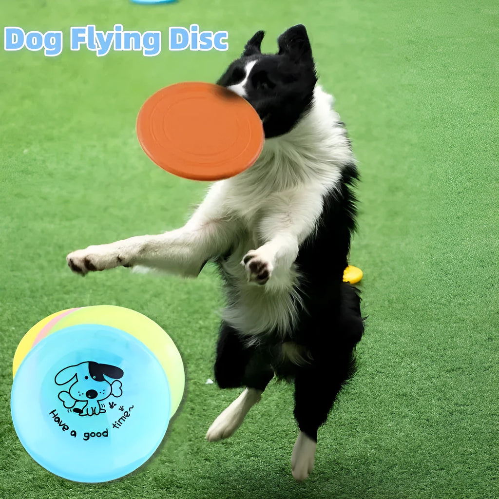 Lightweight 20cm dog flying disc in random colour for fetching games