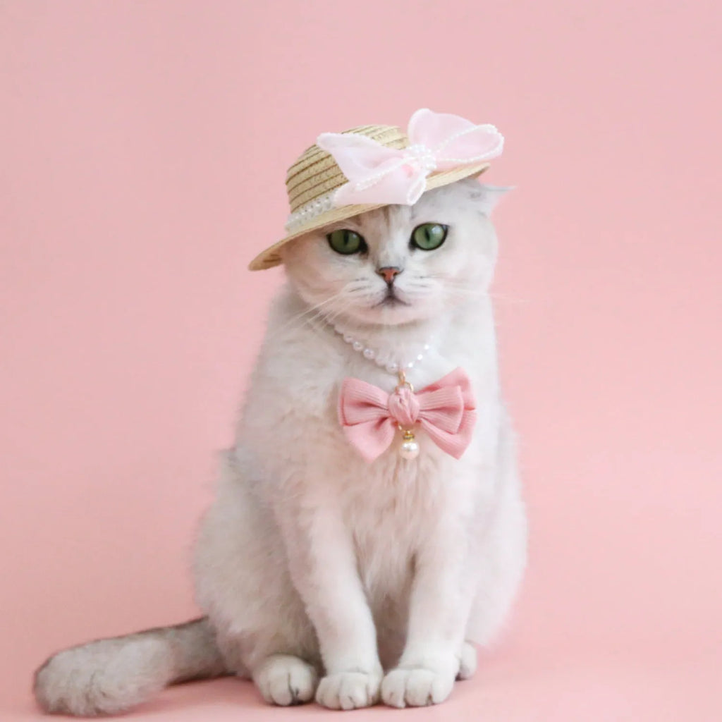 Cat wearing woven straw hat with pearl bow decoration in princess style