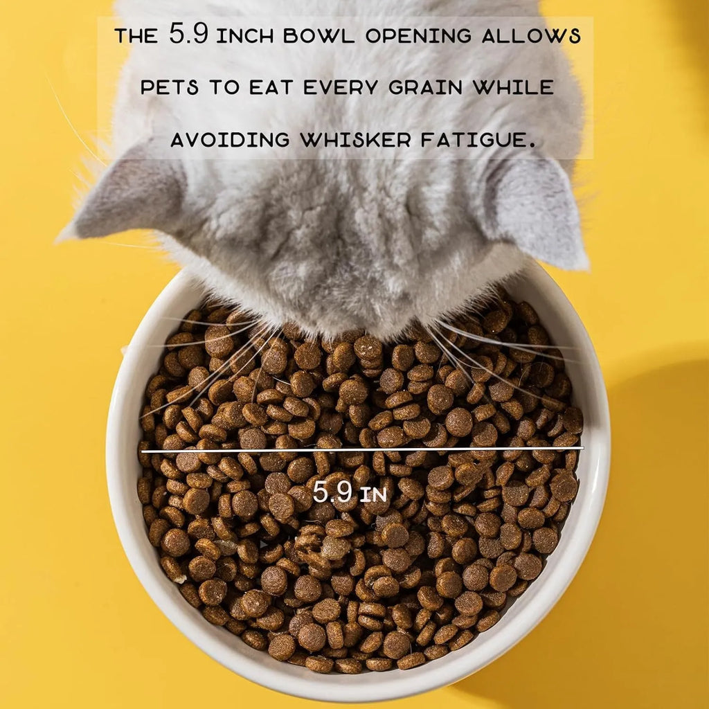 Raised ceramic cat bowl in animal theme design showing height and wide feeding surface