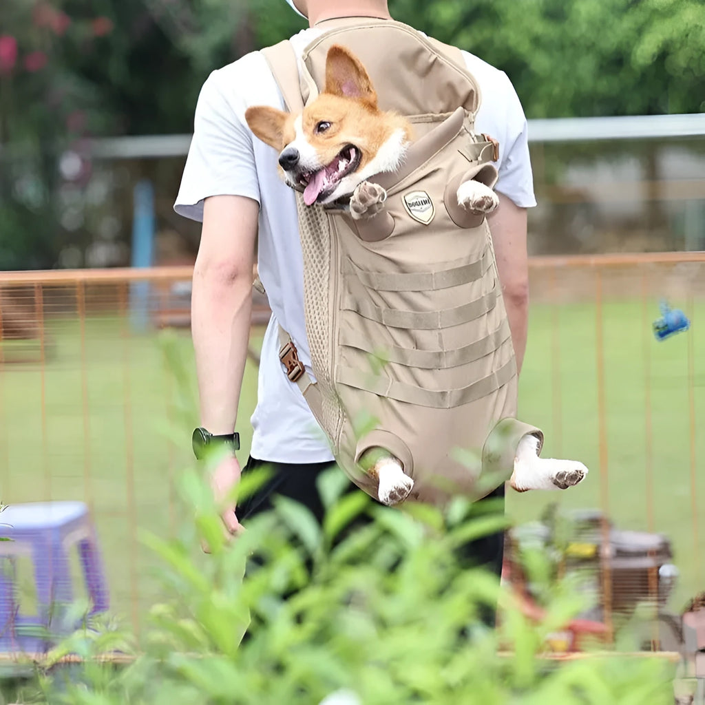 Khaki polyester pet medium dog backpack with two size options M and L on a neutral background