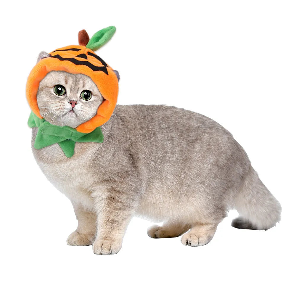 Reversible plush Halloween cloak costume for pets in pumpkin colours with size options