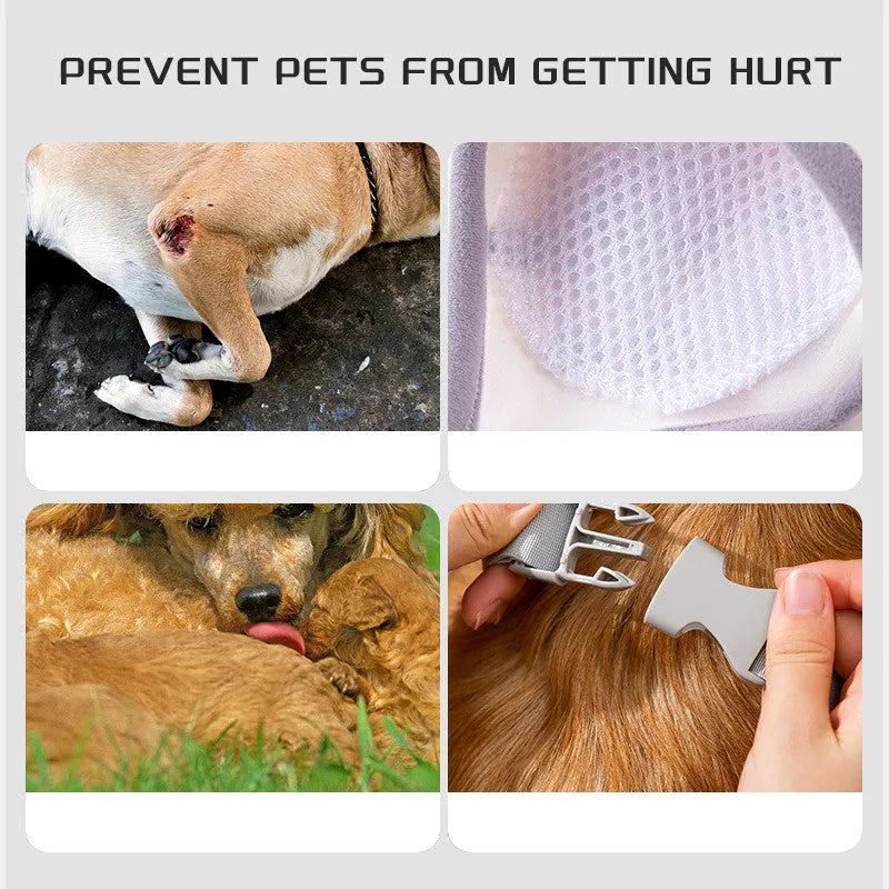 Dog wearing blue knee protector pad with elbow padding and matching scarf with doggie print pattern