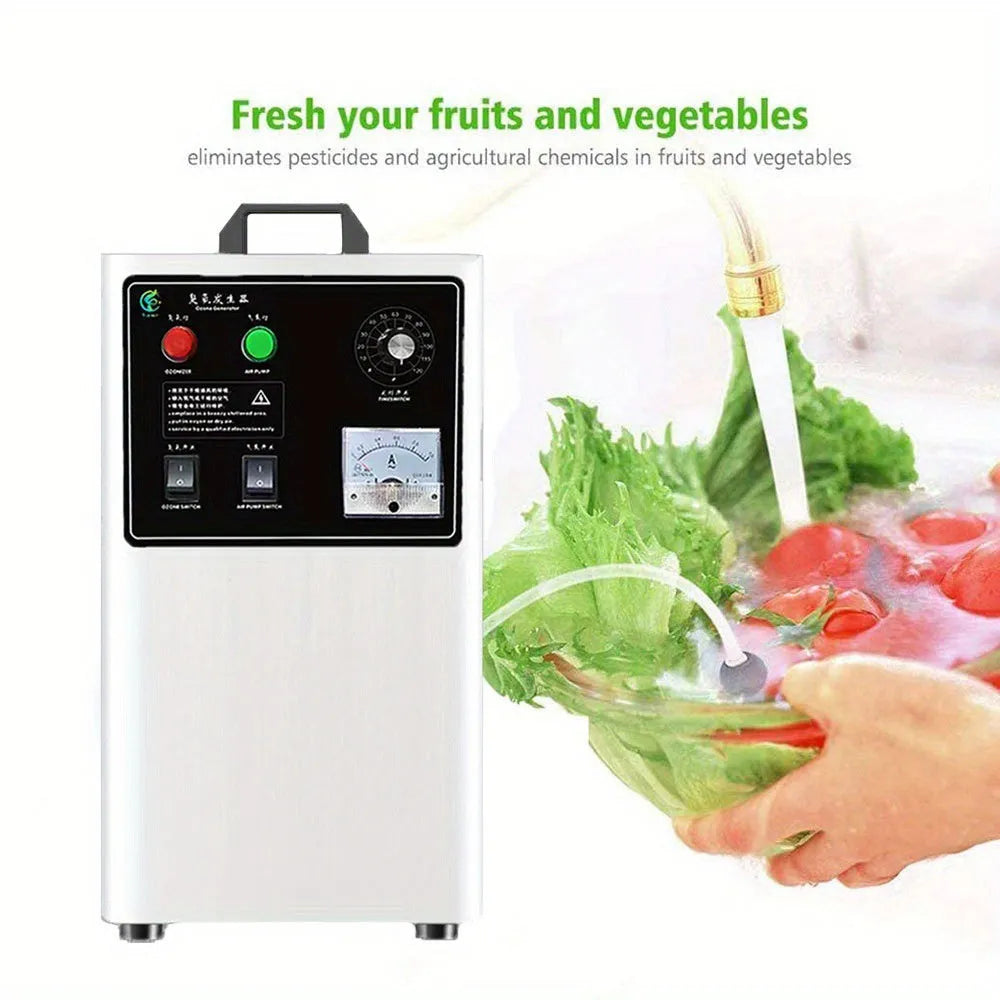 Stainless steel ozone generator for food treatment with 20g per hour output