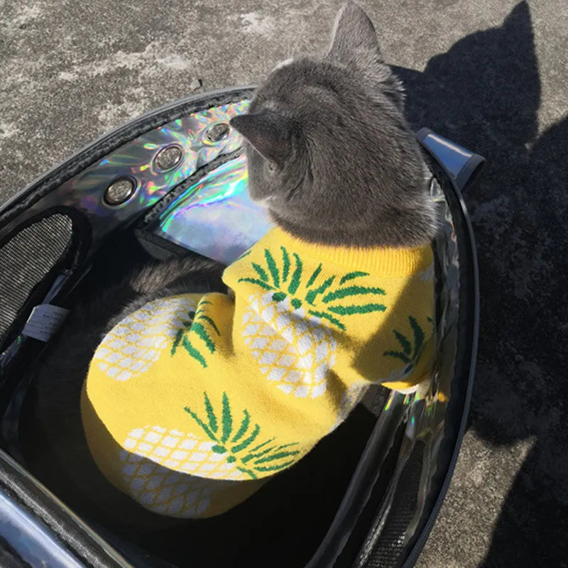 Yellow pineapple print wool pet jumper for dogs and cats, sizes S to XXL, autumn winter Christmas pet clothes