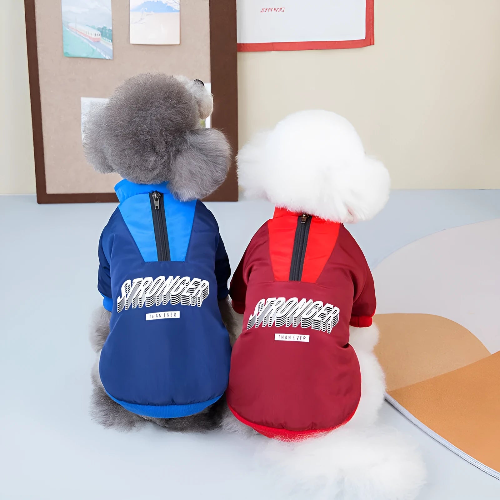 Red and blue V-shaped cotton dog coat shown in multiple sizes