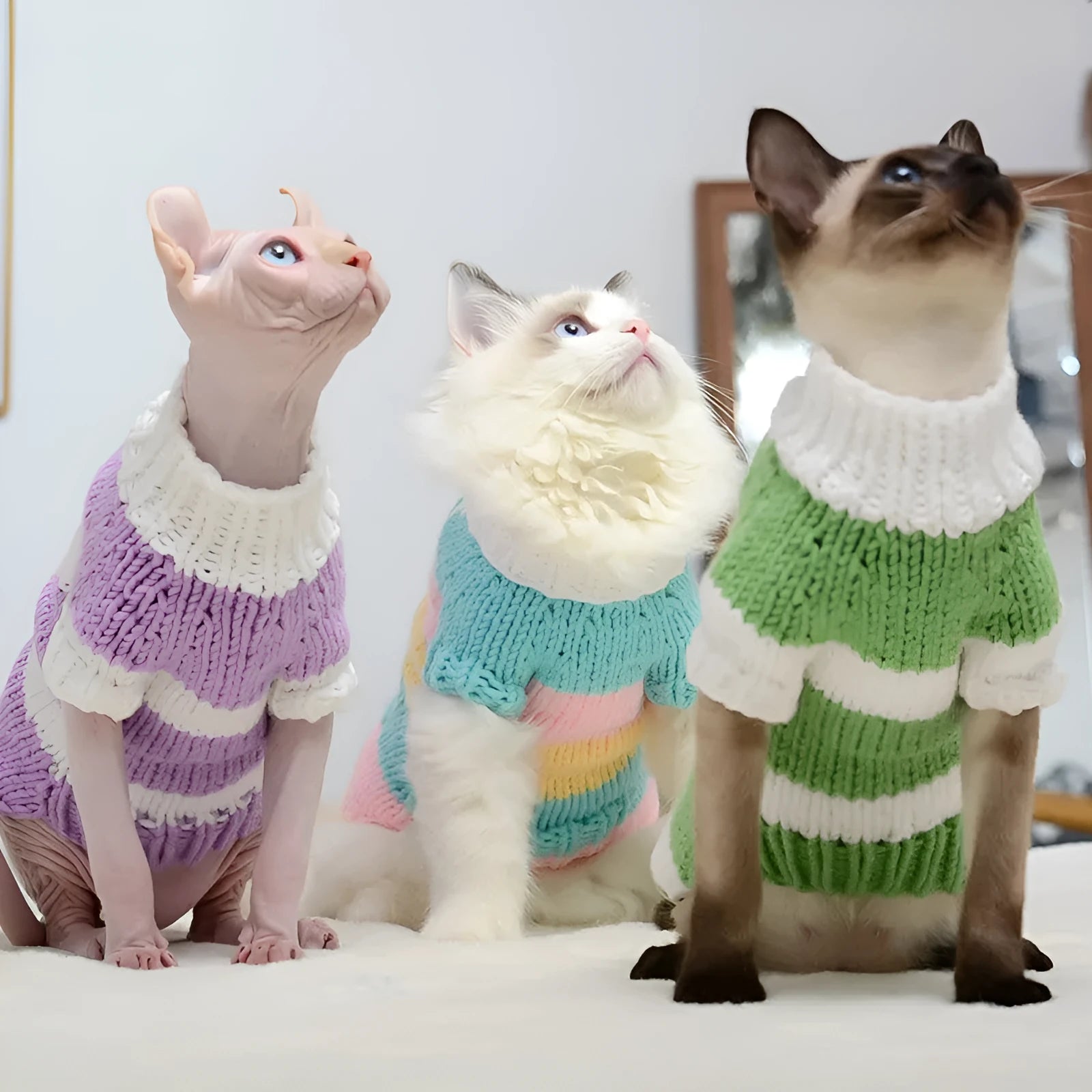 Wool handmade stripe sweater for hairless cat in light purple, side view on cat