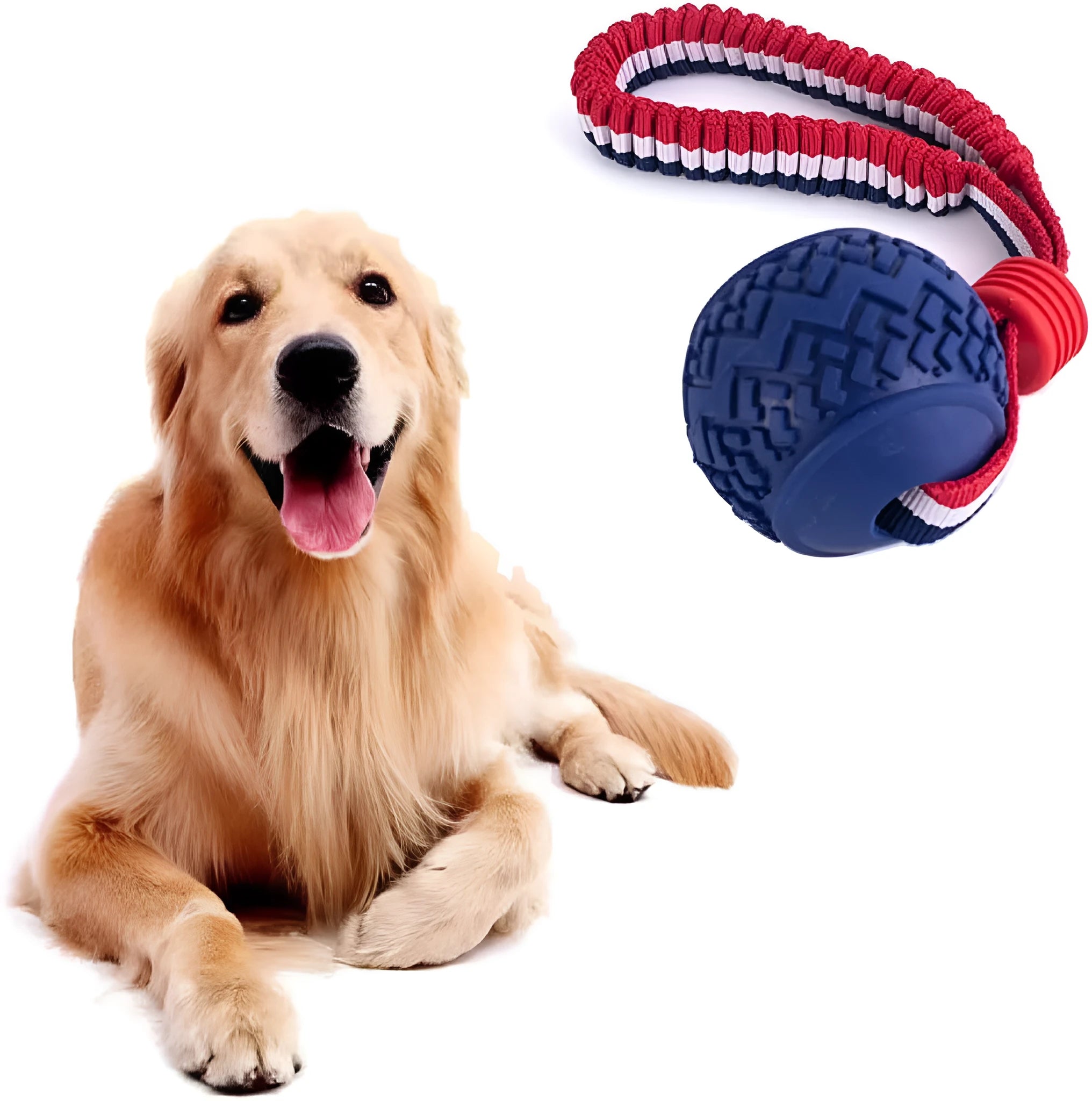 Blue natural rubber dog ball with rope toy, textured surface, shown with measurements