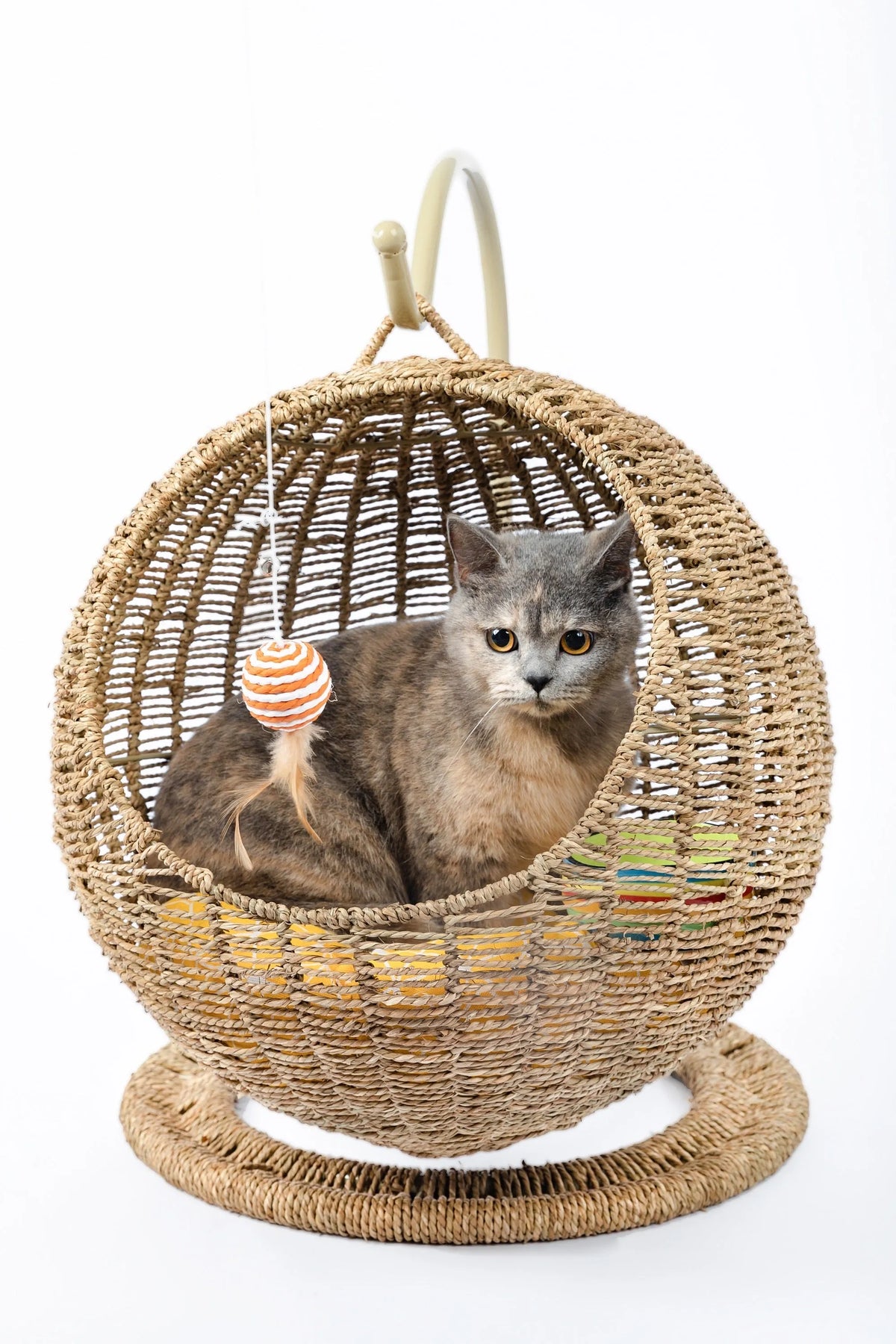 Woven round hanging cat bed with rattan wood lining, 45cm height, shown in small and large sizes