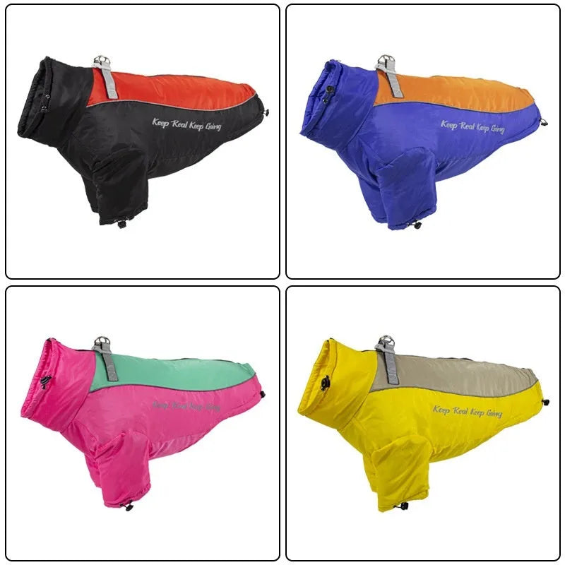 Polar fleece dog jacket with separate liner in a two-tone colour combination on a mannequin.