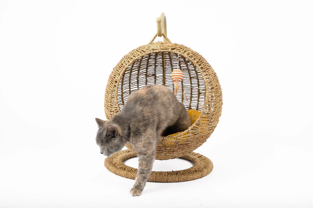 Woven round hanging cat bed with rattan wood lining, 45cm height, shown in small and large sizes