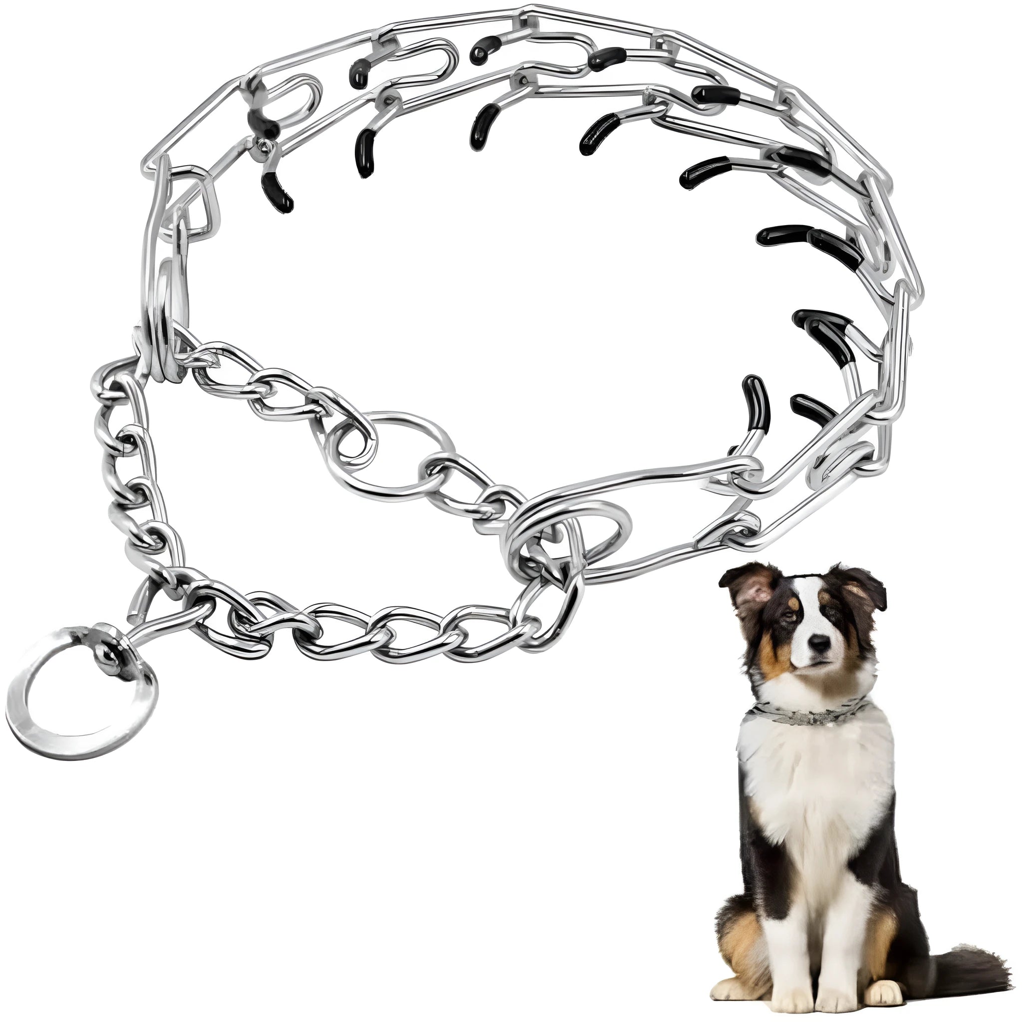 Stainless steel adjustable dog prong training collar with rubber comfort tips on a grey background.