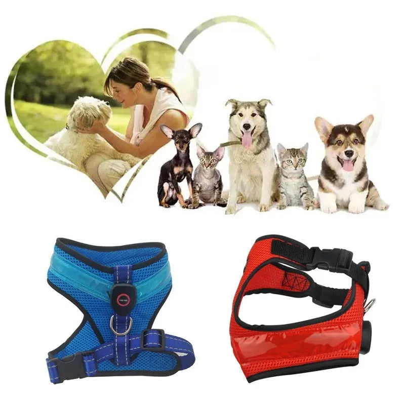 LED luminous dog harness with USB charging, mesh fabric, blue colour, size M, showing front view with battery box and plastic buckle