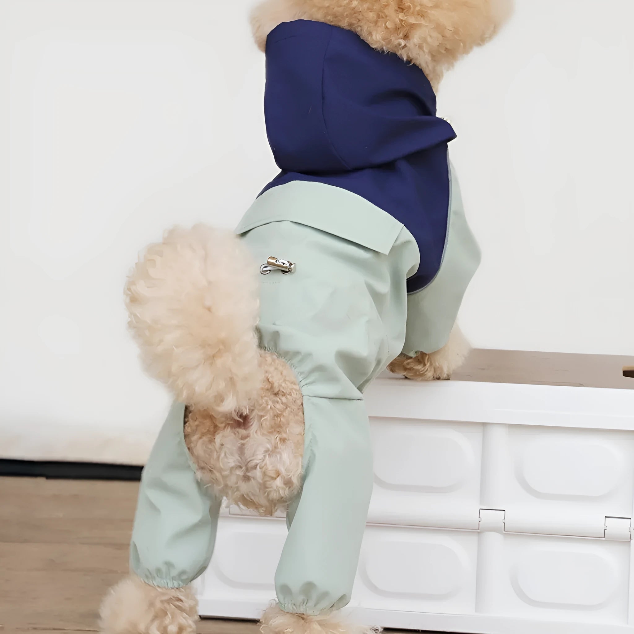 Khaki coloured waterproof shell jacket on a medium-sized dog, showing British-style fit.