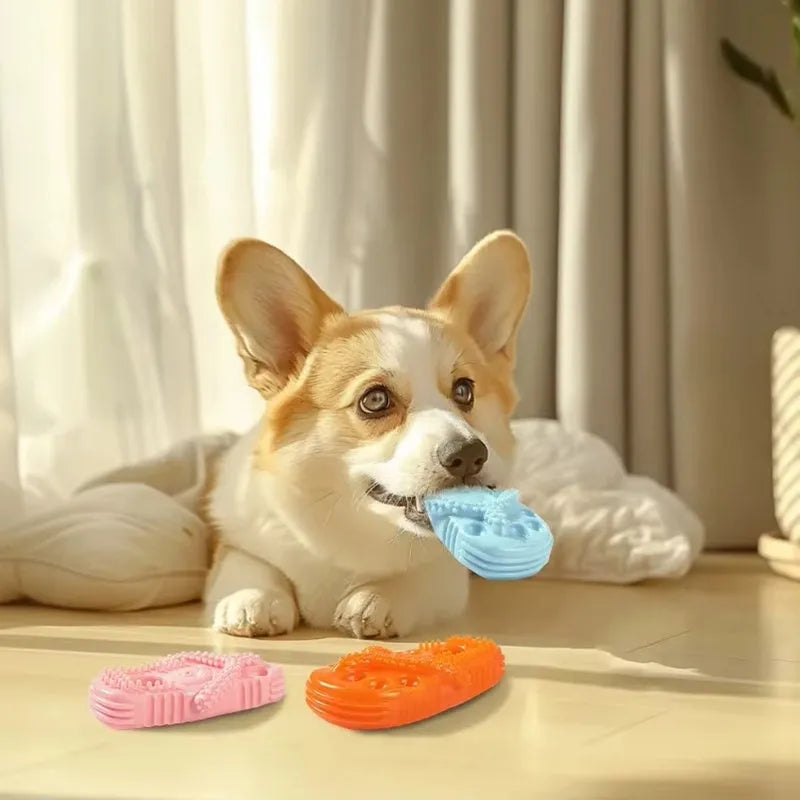 Blue rubber dog chewing toy shaped like a slipper with textured surface for dental cleaning