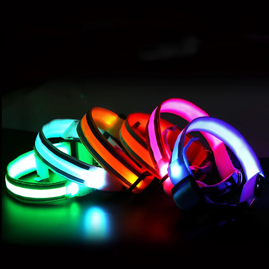 LED luminous anti-lost dog collar in nylon webbing, available in XS to XL and 16 colour options