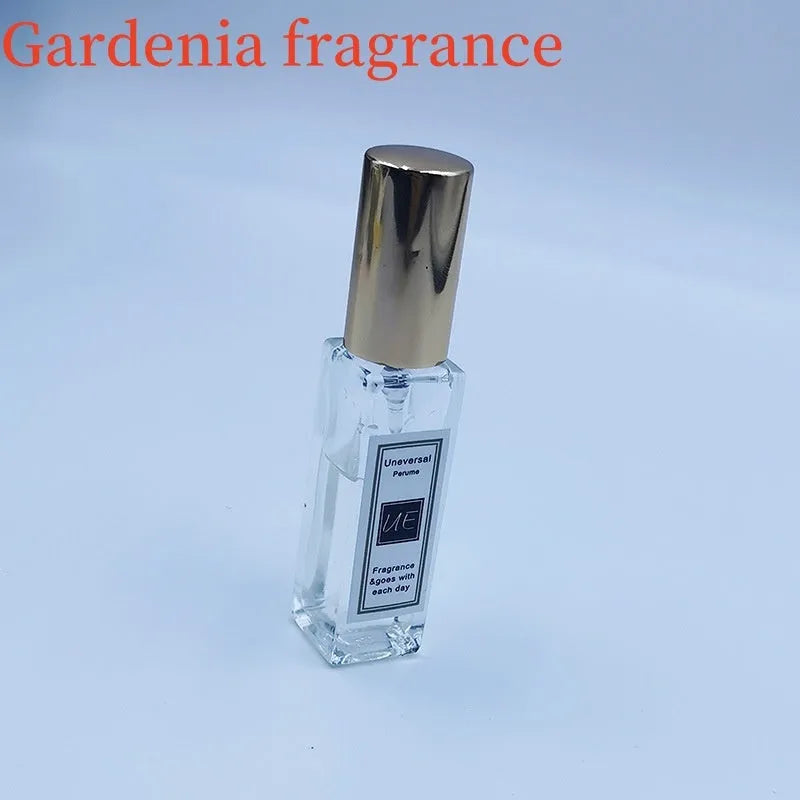 Car aromatherapy stone pendant with essential oil bottle and gift box packaging