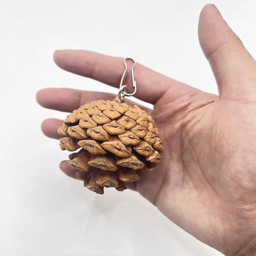 5-6cm pine cone parrot bite toy with metal studs and buckle option for pet birds