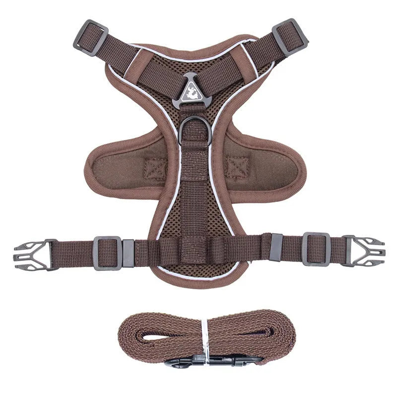 Cat anti-breakaway chest harness with 1.5-metre flat rope lead in grey, silver gradient chain detail