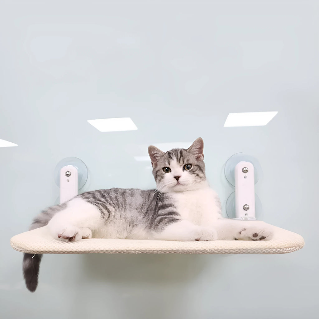 Grey mesh cat hammock with stainless steel frame and suction cups mounted on a window.