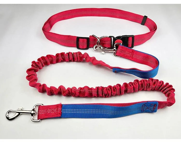 Grey and blue nylon dog leash with reflective filament and 2.5cm width.
