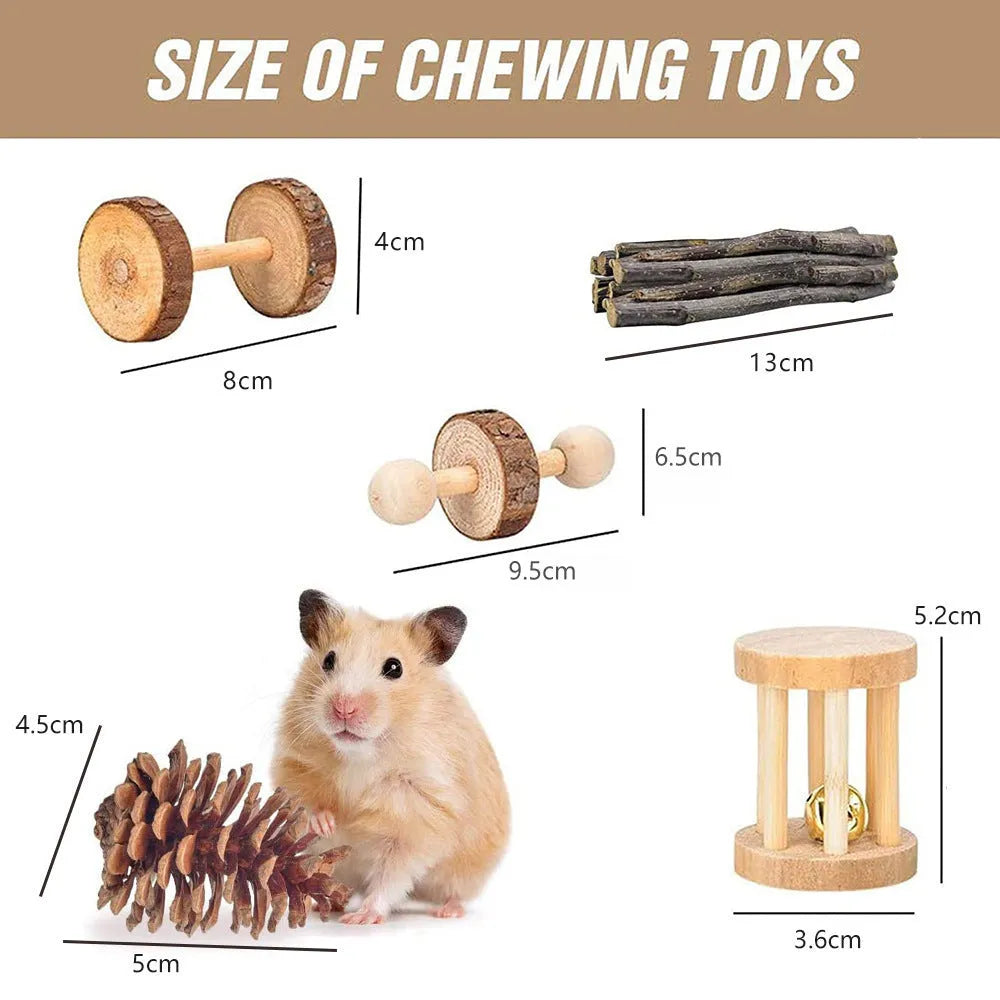 Assorted wooden chew toys for small pets including balls and mats on a neutral background.