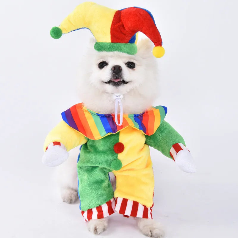 Halloween dog costume selection showing bat suit, devil outfit, and space clothing styles for pets