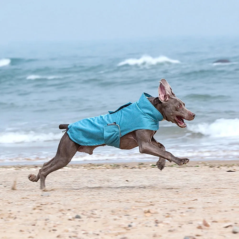 Grey polyester dog vest for a medium large breed on a mannequin.