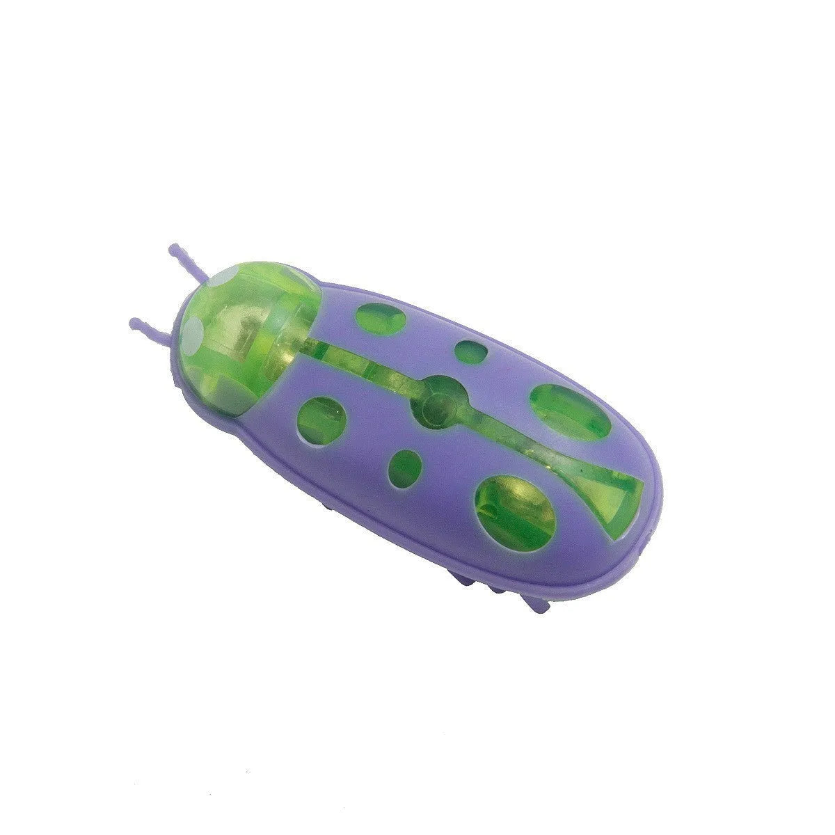 Electric toothbrush worm cat teaser toy showing ladybug and iron cow style designs