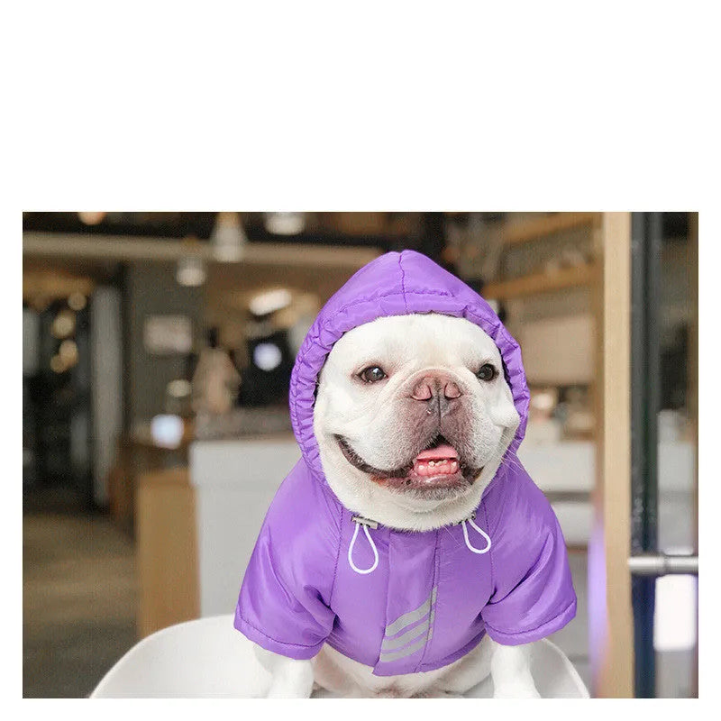 Purple printed pet winter cotton coat for dogs in sizes L to XXXL on a white background