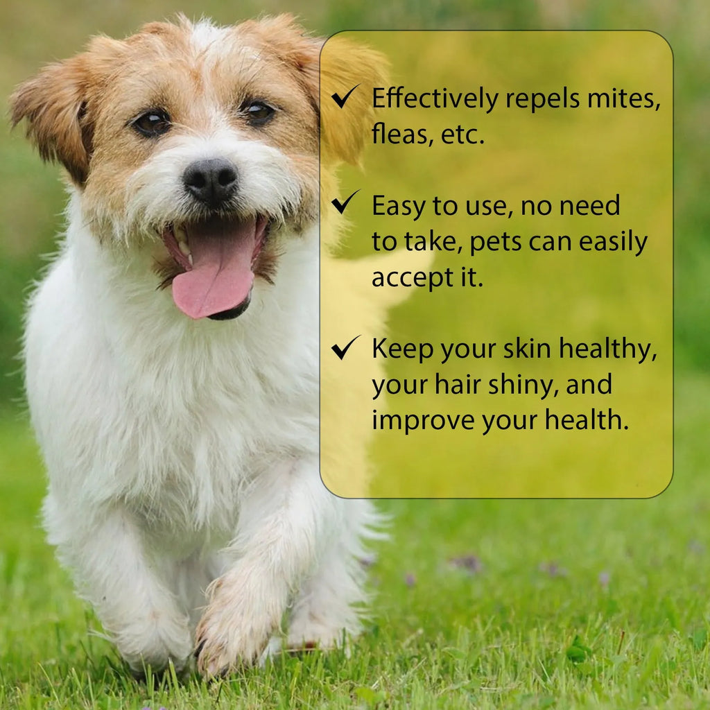 1ml dog insect repellent drops for fleas lice ticks with mugwort and arnica extracts