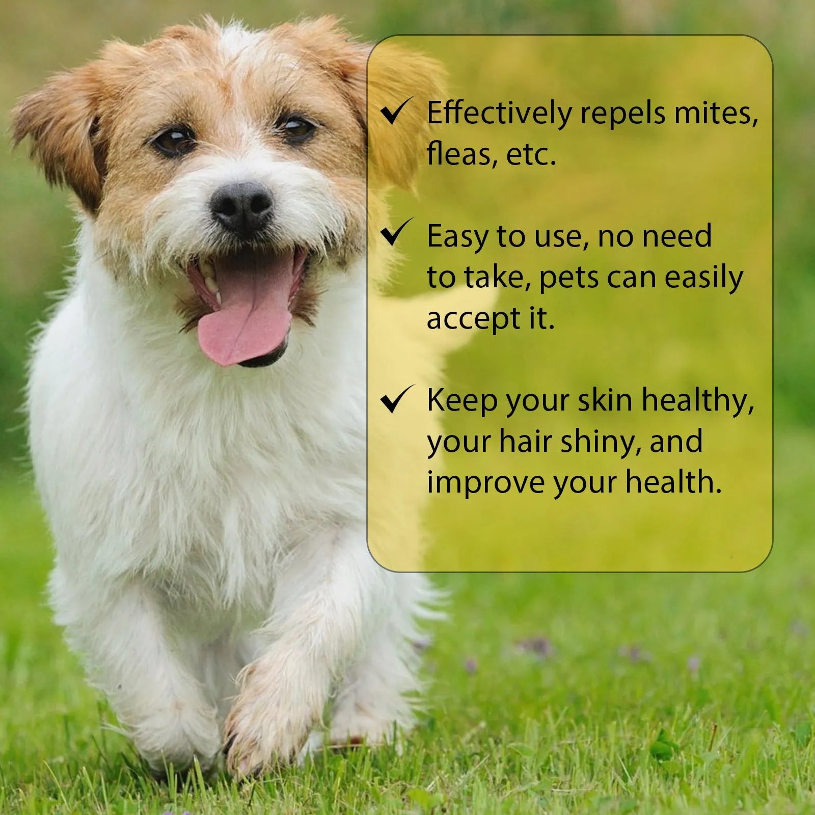 1ml dog insect repellent drops for fleas lice ticks with mugwort and arnica extracts