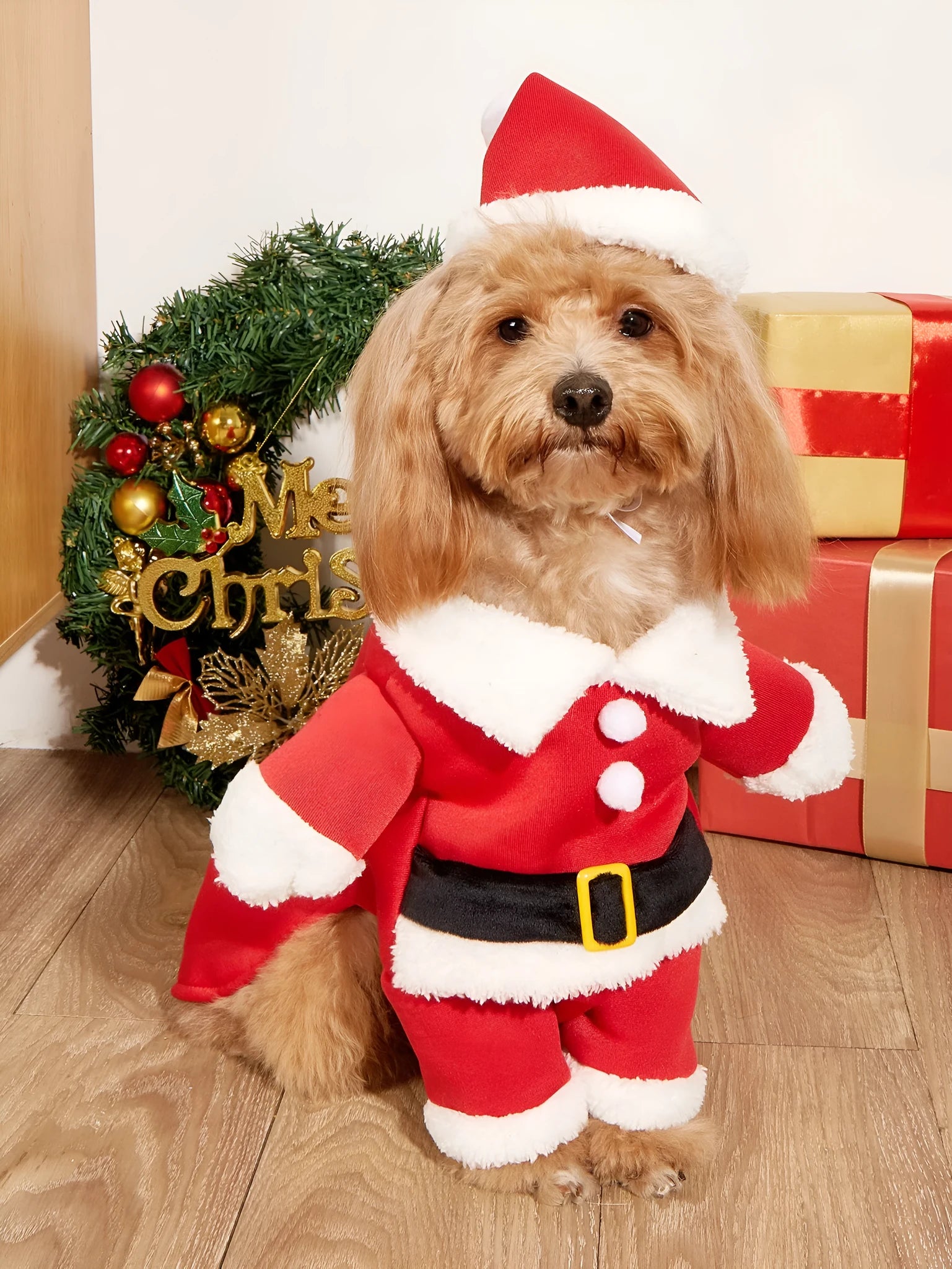 Red polyester Christmas pet costume on a small dog with matching cap