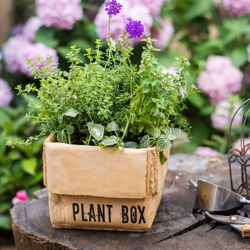 Cement brown paper box design flower pot with bottom drainage holes on a table.