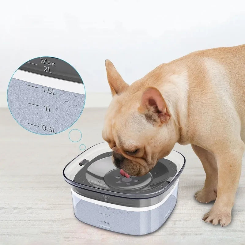 Large transparent pet water bowl with floating slow-feeder disk inside.