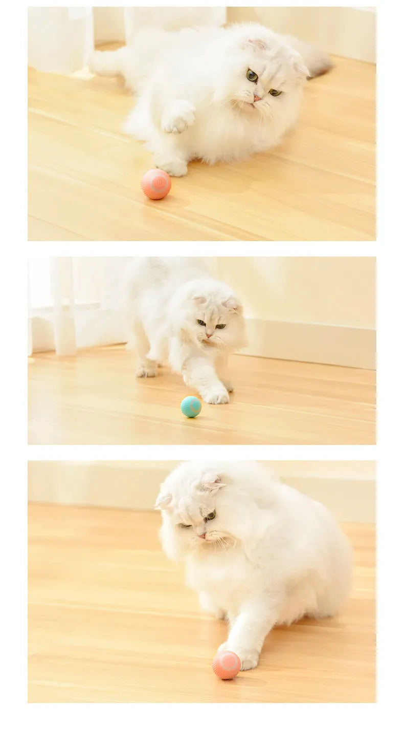 Cat Gravity Intelligent Rolling Ball 43mm plastic toy with black and white cat watching it move on a hard floor