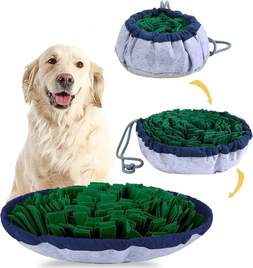 Blue and green adjustable fabric snuffle mat for dogs used as a slow feeder puzzle toy.