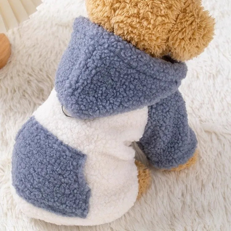 Blue thickened cotton pet hooded coat shown on dog model with size range displayed