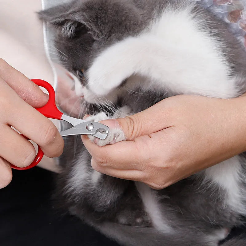 Pet nail clippers with stainless steel blades and coloured plastic rubber handle for dog cat grooming
