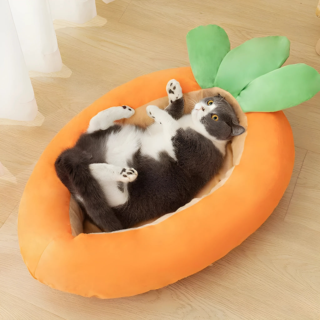 Carrot-shaped double-sided pet mat with cartoon design in medium and large sizes
