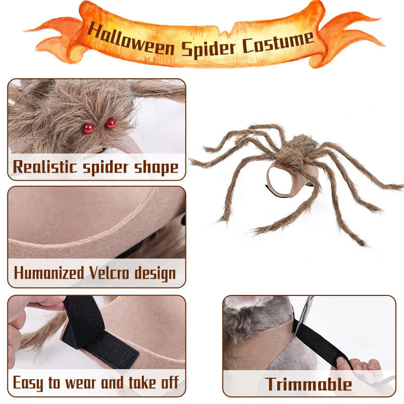 Grey polyester spider Halloween costume worn by a small dog, showing eight draped legs.