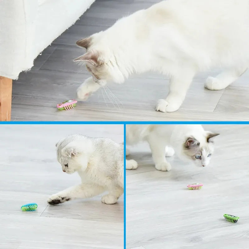 Mini electric bug cat toy with 12 angular legs in insect shape on flat surface